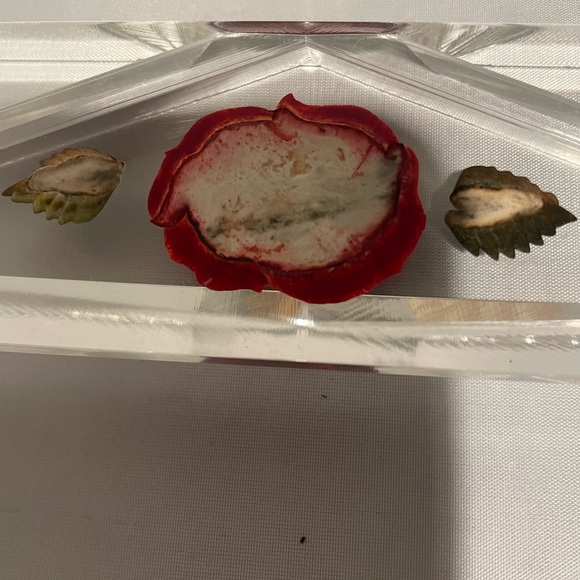 Vintage Red Rose Bircraft-Style Business Card Recipe Holder Clear Lucite Acrylic - Picture 10 of 12